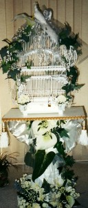 BIRD CAGE RENTAL